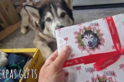 Lucky Husky's Birthday Gifts are Amazing! Part 1