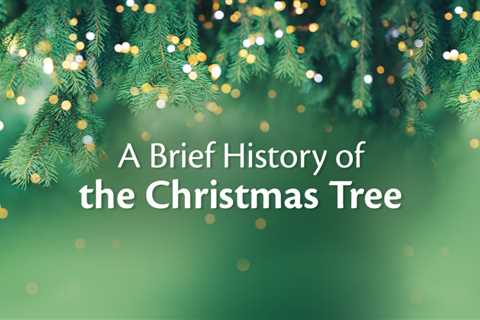 A Brief History of the Christmas Tree