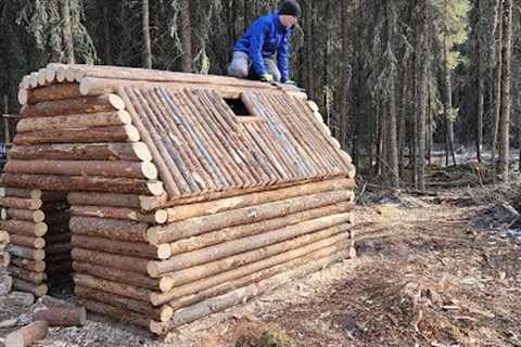 Building A Small Log Cabin Alone In The Woods | Episode 10