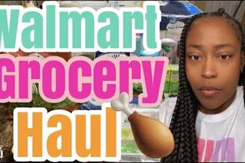 WALMART GROCERY/HOUSEHOLD ITEMS HAUL| WHAT WE BOUGHT WITH OUR FOOD STAMPS 😳