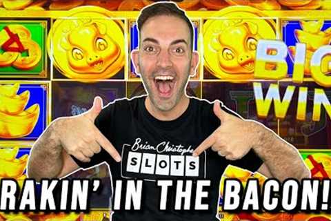 Piggies are RAKIN'' in the BACON ⫸ BCSlots at Plaza