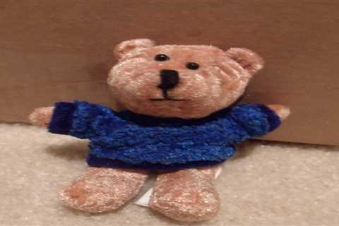 Custom Teddy