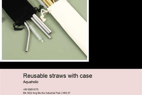 reusable straws with case