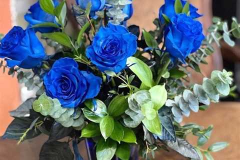 Homecoming mums Midland, TX